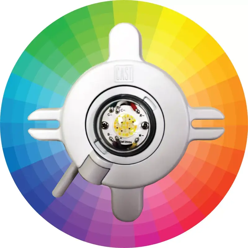 CAST Lighting Bluetooth Color Control Area/Path Light Module