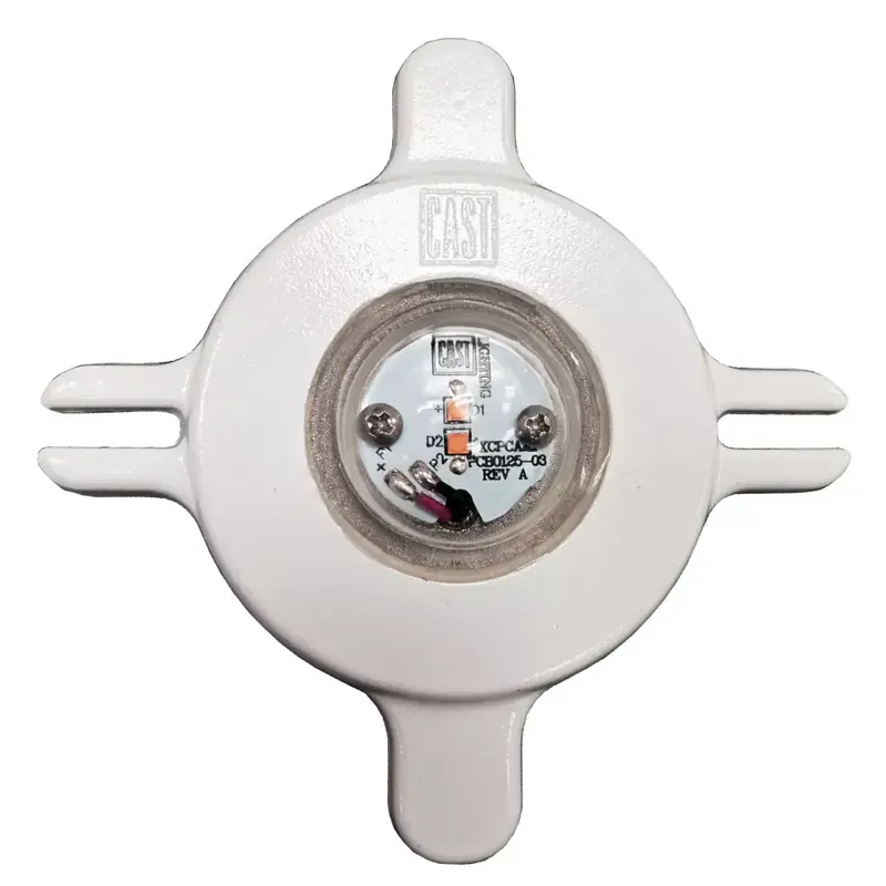 CAST Lighting Caled2-cast LED Retrofit Module