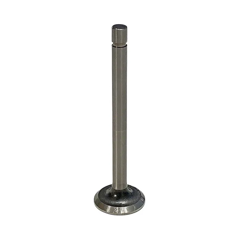 Exhaust Valve Fits Massey Ferguson Replaces 1027653M1