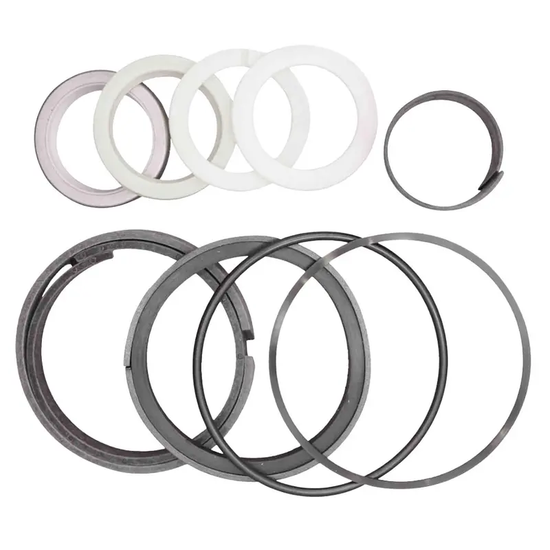 Fits Case 1543254C1 Hydraulic Cylinder Seal kit