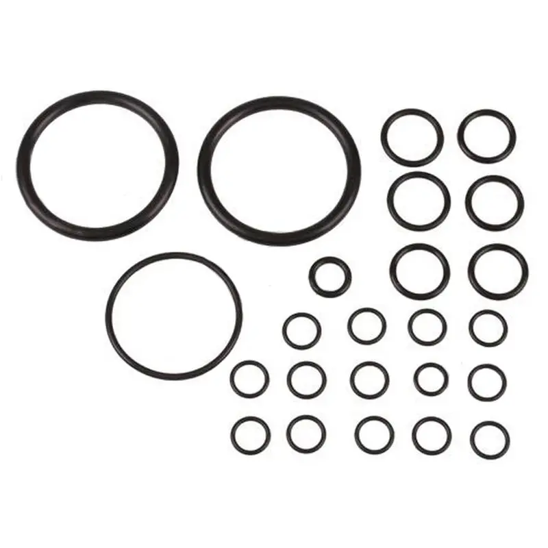 Hydraulic Lift Pump Seal Kit Fits Landini Replaces 894906M91