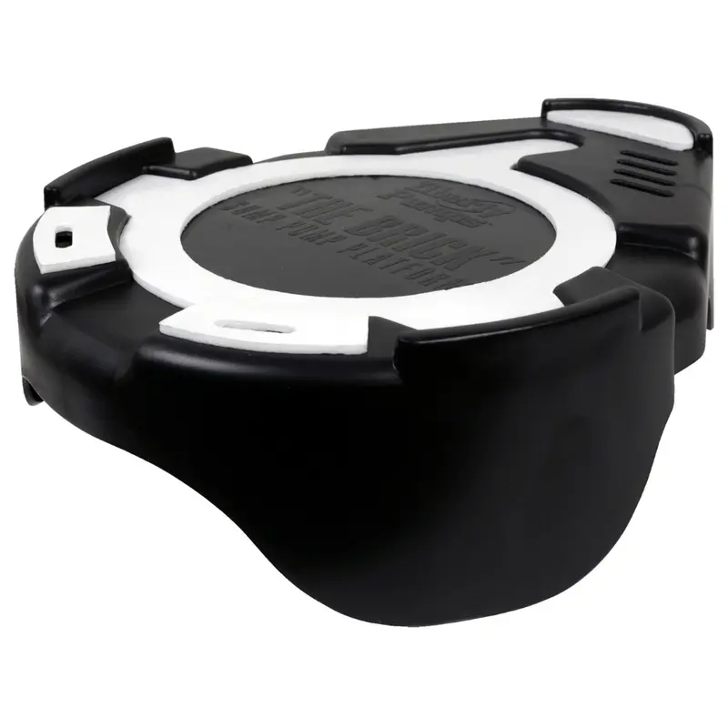 Liberty Pumps The Brick 4445000 Sump Pump Platform, 2.5 in. Lift