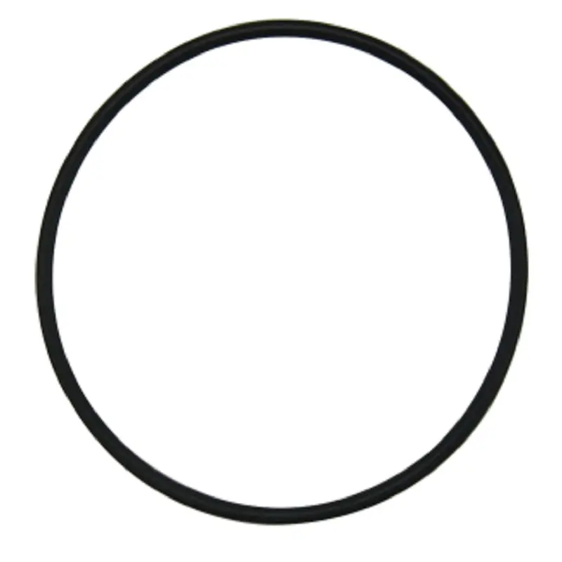 O-Ring, Power Steering Valve Fits International Replaces 106667A