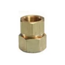 Omegaflex - FGP-SFSTF-1000 - AutoSnap Female Straight 1 Inch