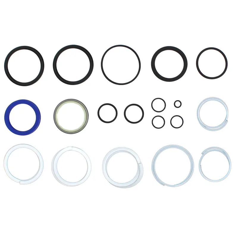 Power Steering Cylinder Seal Kit Fits Case Fits David Brown Fits International