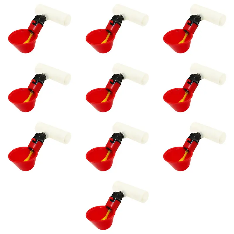 Qty 10