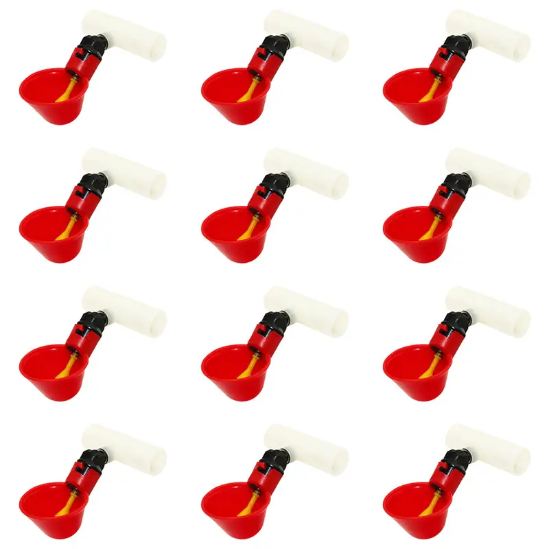 Qty 12