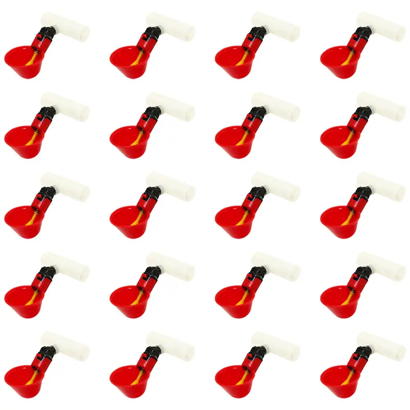 Qty 20