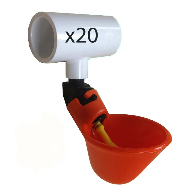 Qty 20
