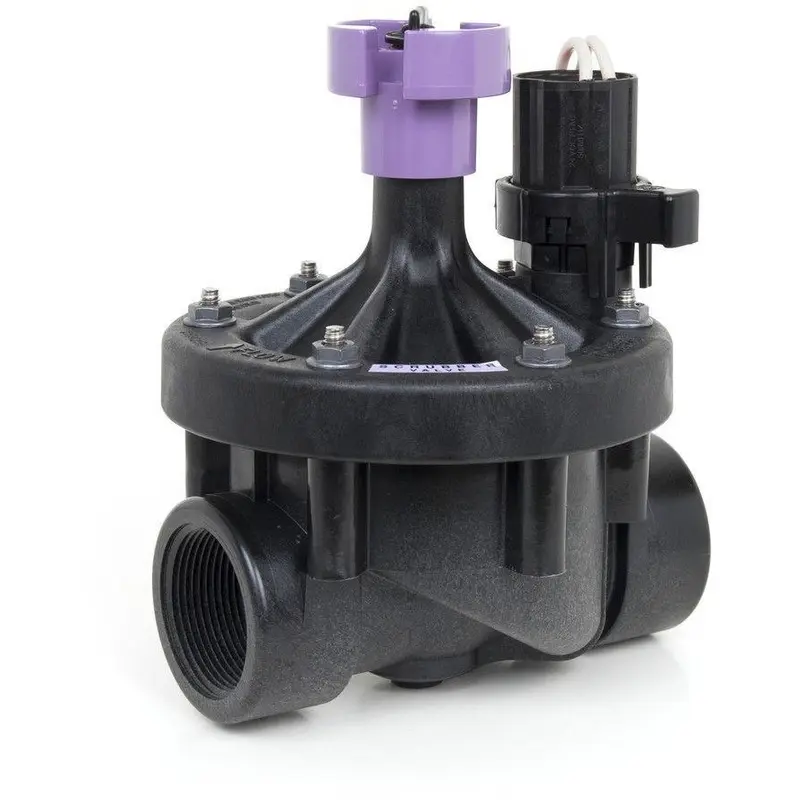 Rain Bird 200PESBR 2-Inch Reclaimed-Water Valve