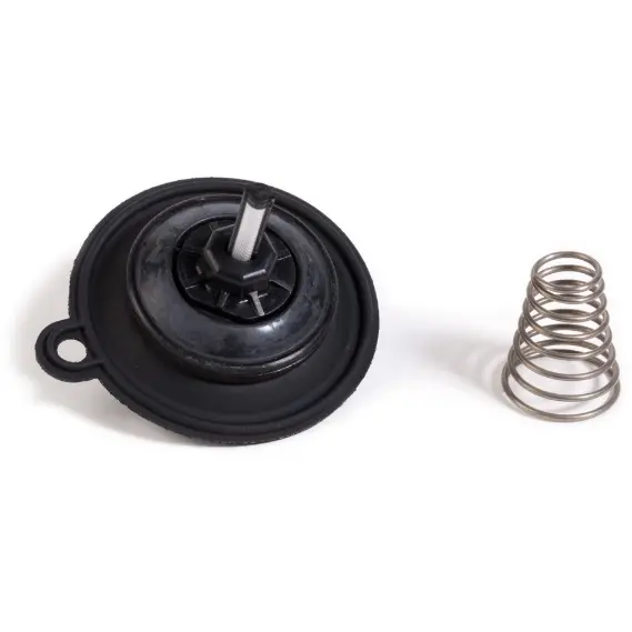 Rain Bird 208143 Diaphragm Assembly for 1-Inch 100PEB Valves