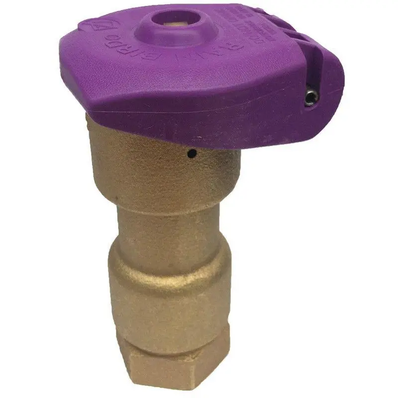 Rain Bird 5NP 1-Inch Non-Potable Quick-Coupling Valve