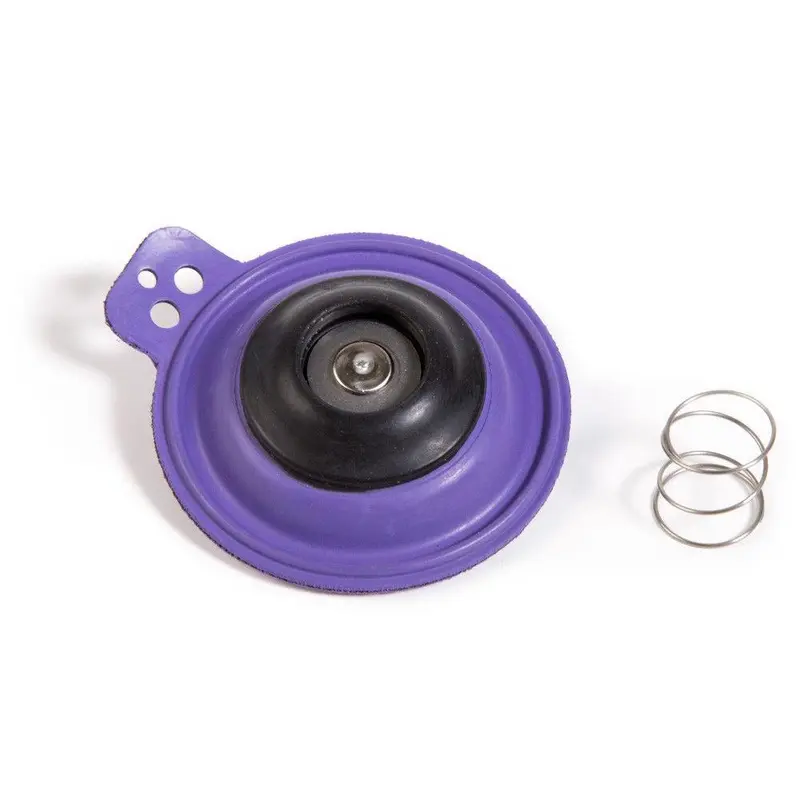 Rain Bird DIAPH100G Diaphragm and Spring Kit for 100 EFA
