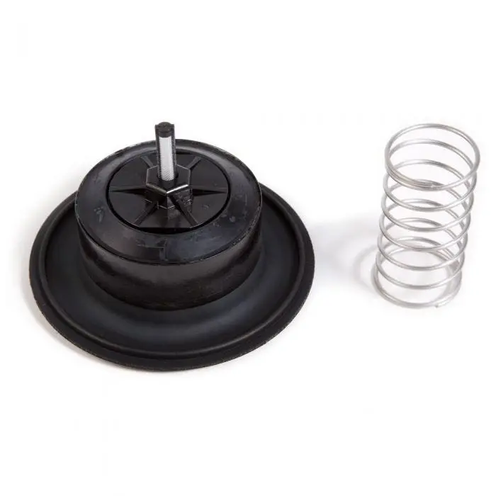 Rain Bird DIAPH200PG 2-Inch 200PGA Diaphragm Repair Kit