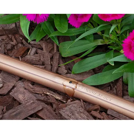 Rain Bird - XFSCVPS918500 - Sub-Surface Dripline with Check Valves, 0.9 GPH 18” Spacing, 500 FT Coil, Purple Stripe Tubing