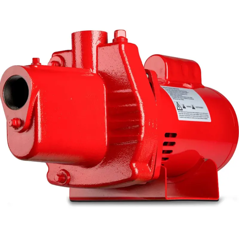 Red Lion RJS-100-PREM — 602208  1 HP Premium Cast-Iron Shallow Well Jet Pump