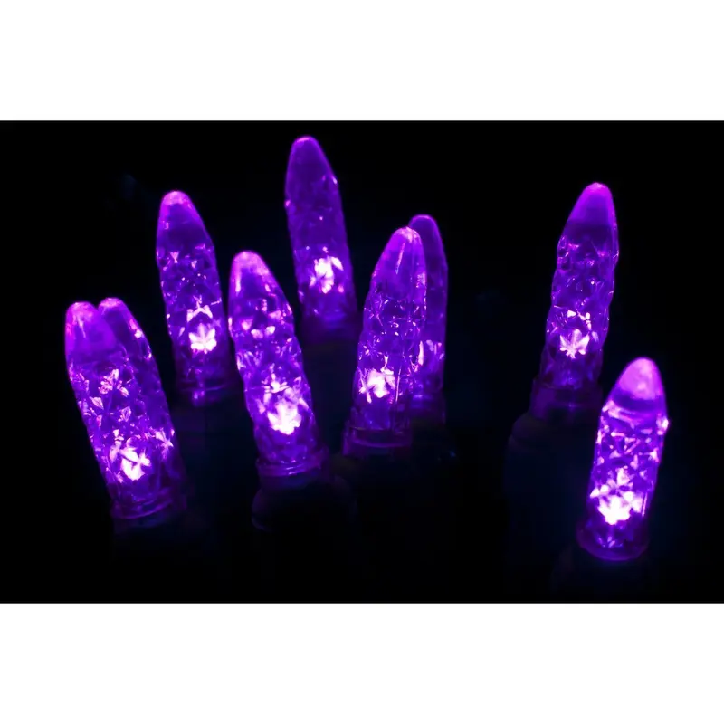 Seasonal Source - 41612R-B - M5 Purple LED Holiday Lights, 4" Spacing