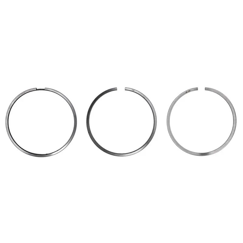 Standard Ring Set Fits Case IH Replaces 3139594R91