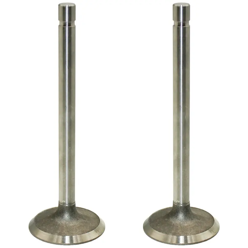 Two Standard Intake Valves R79623 Fits John Deere 3029D 4.202 4.219 4.239D 6.329