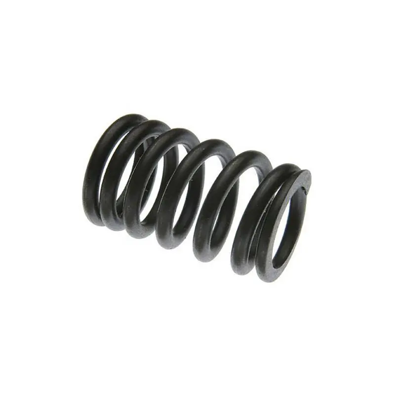 Valve Spring Fits John Deere Replaces T555T