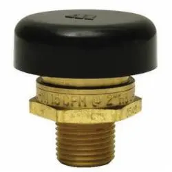Watts - 3/4-LFM36M1 - LFN36-M1 Vacuum Relief Valve, 3/4 Inch, MNPT, 200 psi Water, 15 psi Steam, 15 cfm, Brass Body, 250 deg F 556031